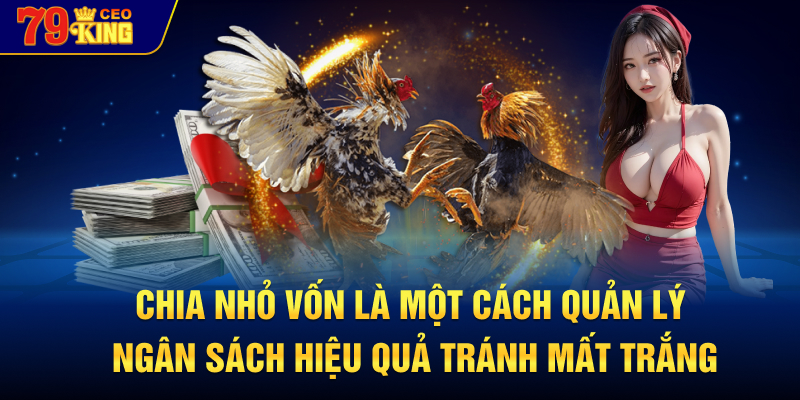 Chia nhỏ vốn là một cách quản lý ngân sách hiệu quả tránh mất trắng