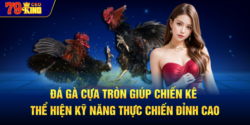 Đá gà cựa tròn giúp chiến kê thể hiện kỹ năng thực chiến đỉnh cao