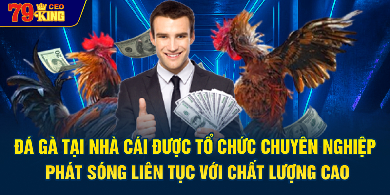 Đá gà tại nhà cái được tổ chức chuyên nghiệp, phát sóng liên tục với chất lượng cao