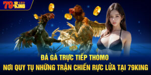 Đá gà trực tiếp Thomo nơi quy tụ những trận chiến rực lửa tại 79KING