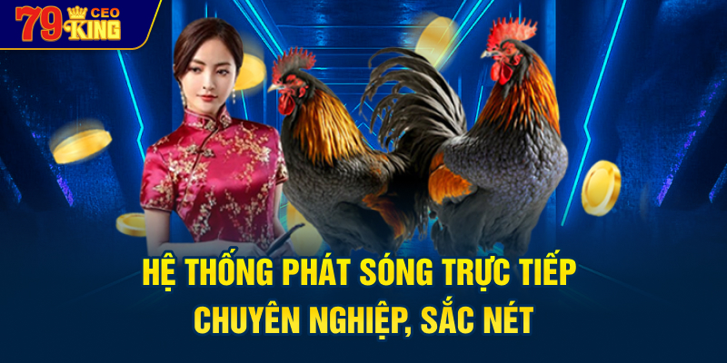Hệ thống phát sóng trực tiếp chuyên nghiệp, sắc nét